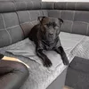 Охлаждающий коврик Springos PA2008 90 x 50 см Photo 8