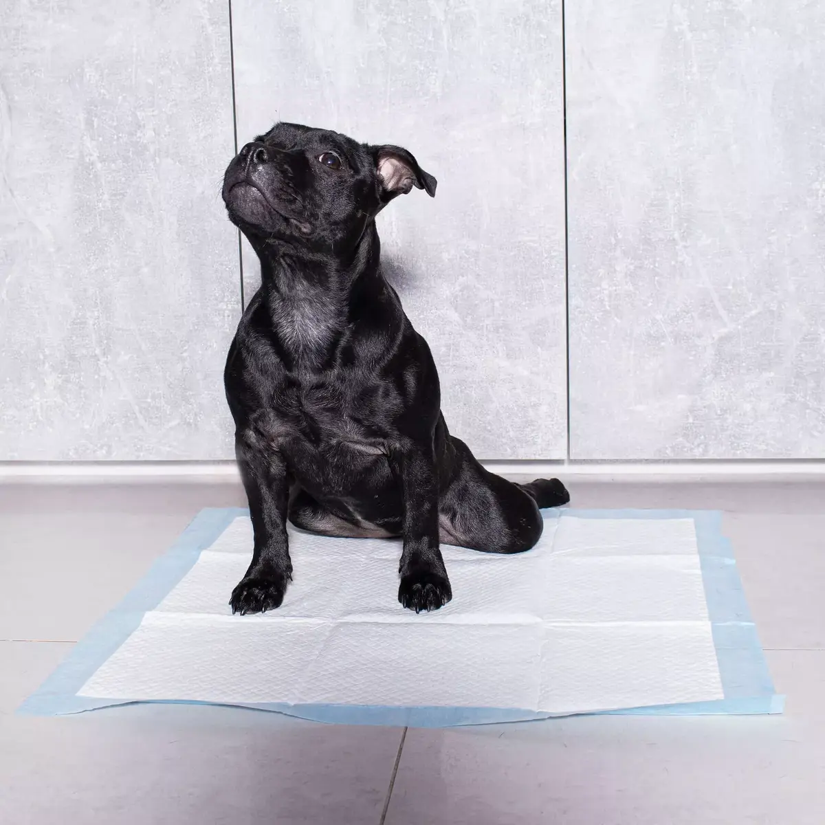 Disposable Hygiene Bed Pads Springos PA2019 60×90 cm Photo 2