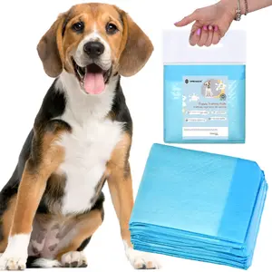 Disposable hygiene pad Springos PA2013 40×60 cm, 10 pcs
