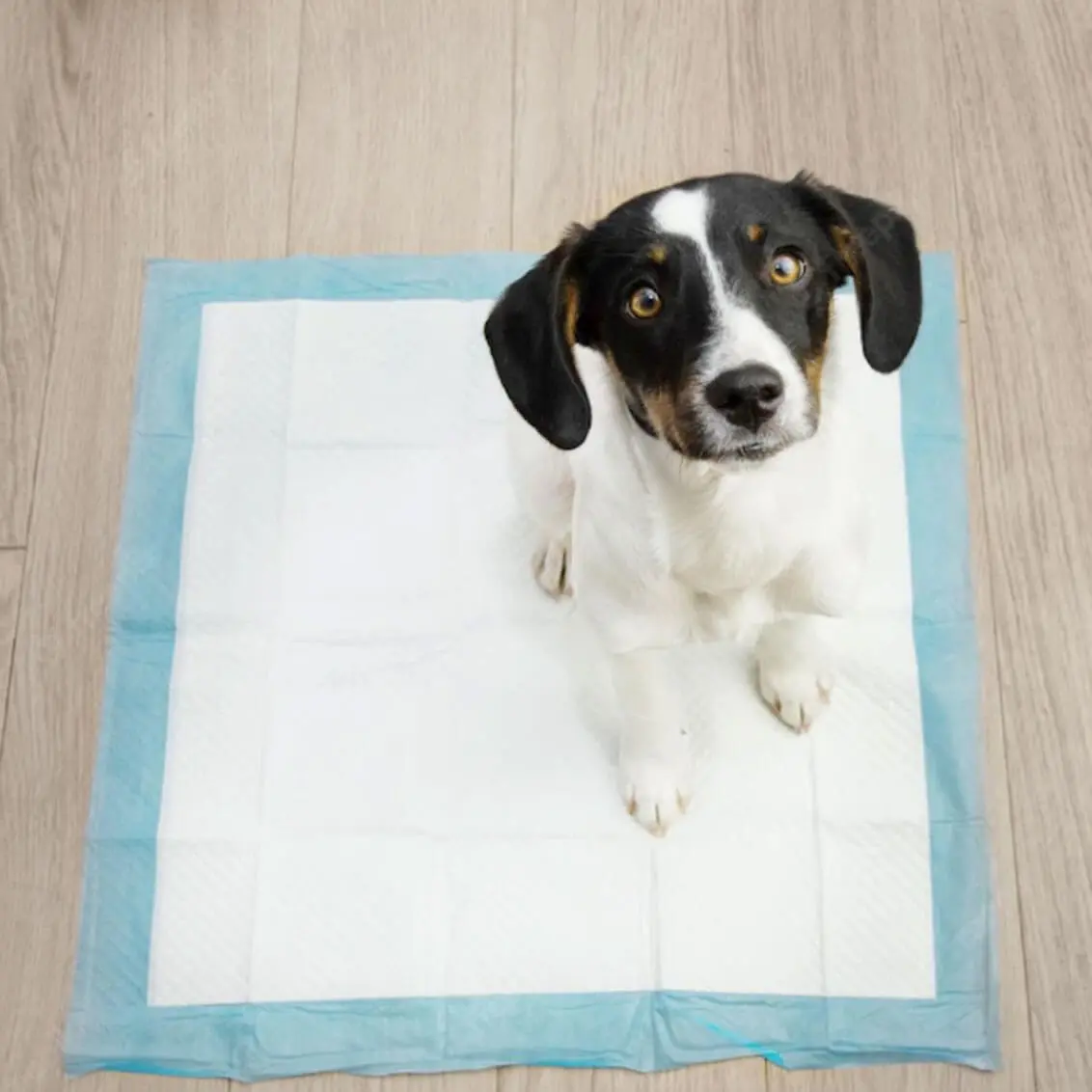 Hygiene pad Springos PA2013 40×60 cm — 10 pcs Photo 4