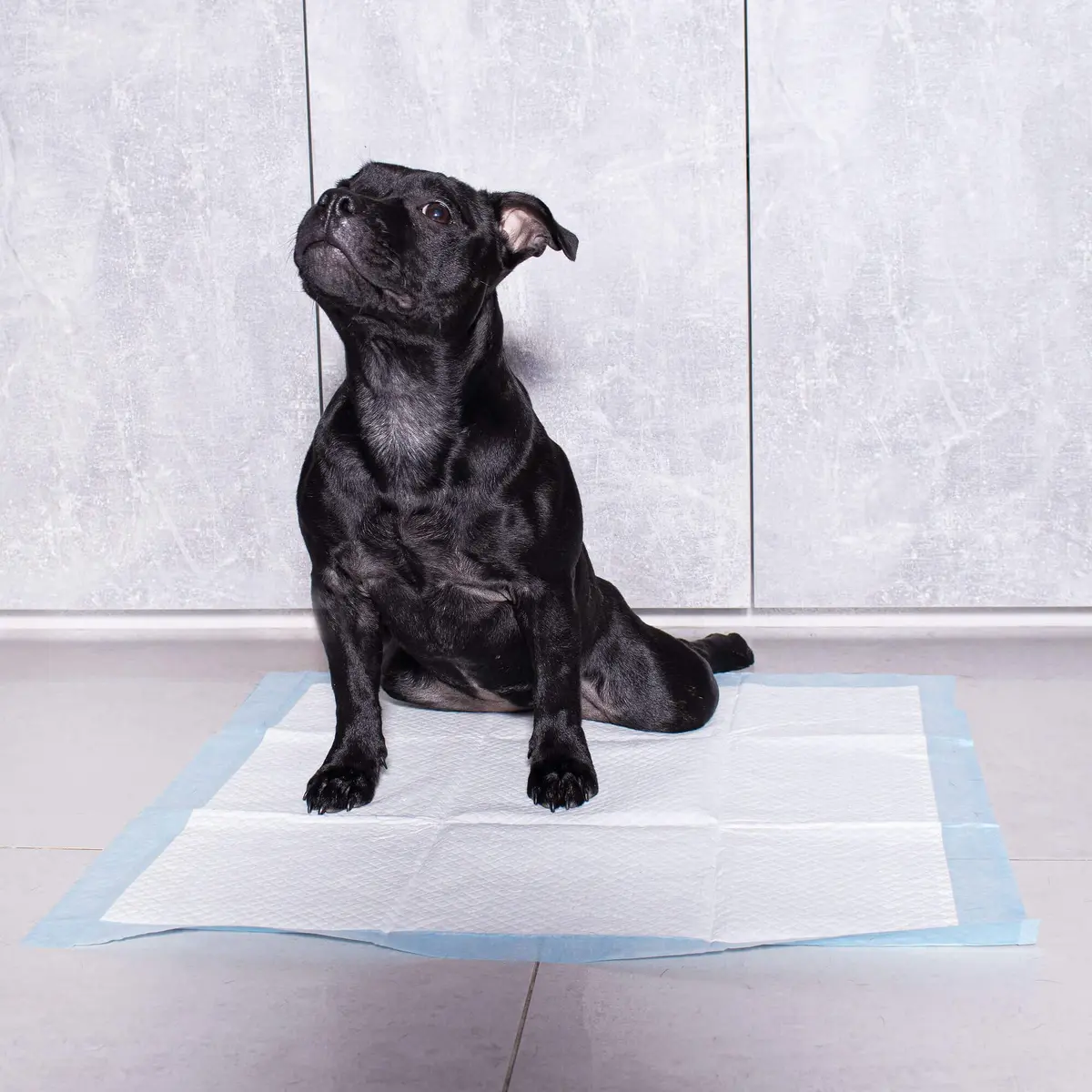 Hygiene pad Springos PA2013 40×60 cm — 10 pcs Photo 6