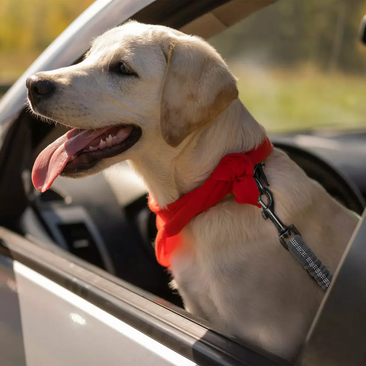 Dog car leash Springos PA0228 Photo 3