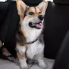 Dog car leash Springos PA0228 Photo 4
