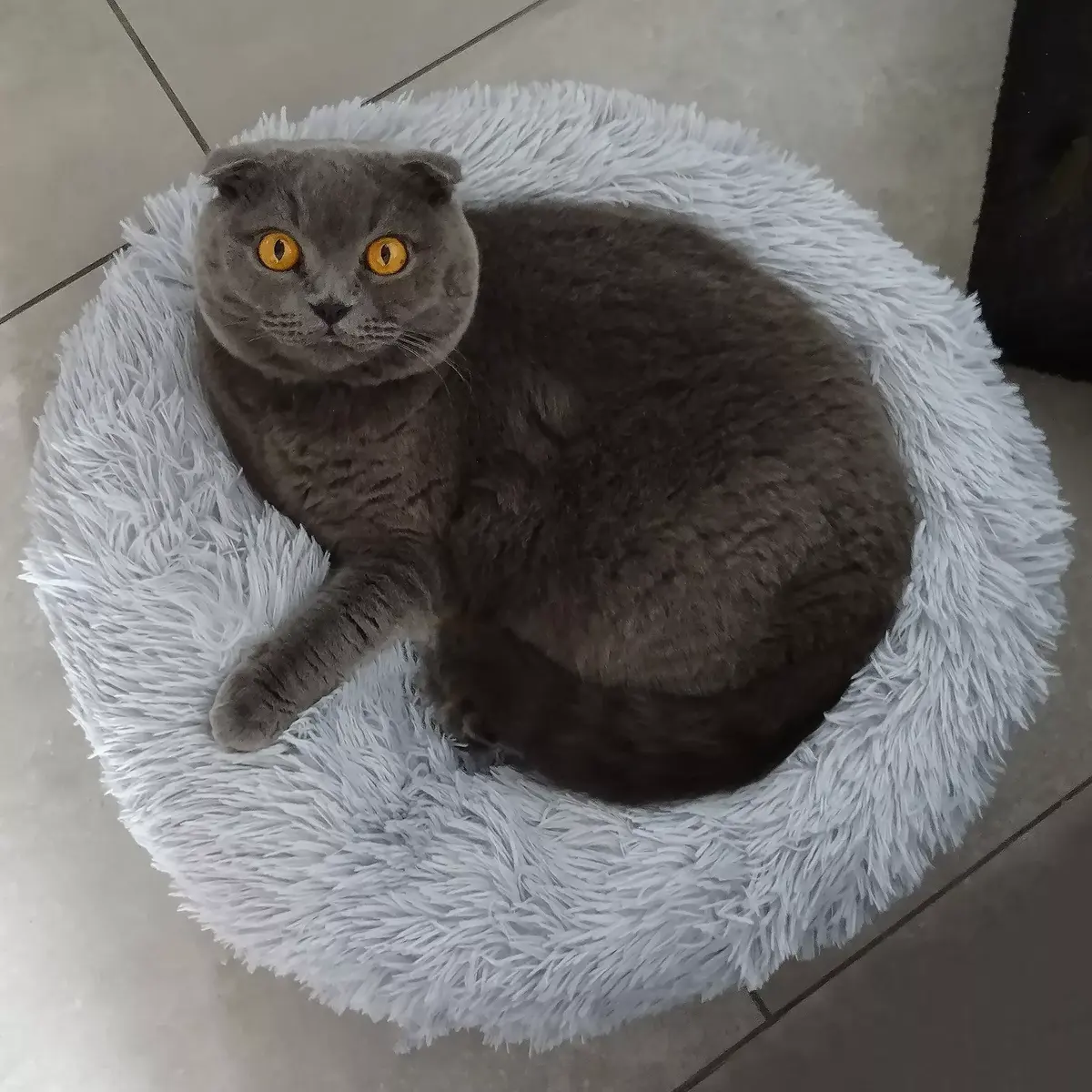 Dog bed Springos PA0128 110 cm Photo 3