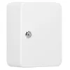 Key box Springos HA5028 metal wall-mountable Photo 4