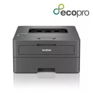 Лазерный принтер Brother HL-L2400DWE Лазерный Черный