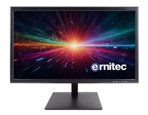 Промышленный охранный ЖК-монитор Ernitec 22 дюйма Full HD 1920 x 1080 пикселей черный крепление VESA