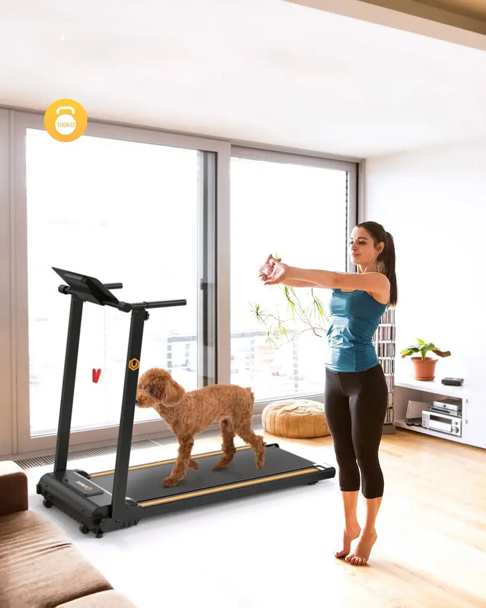 Mini Treadmill Urevo Foldi Photo 7