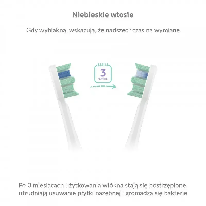TrueLife SonicBrush Clean30 Sonic Toothbrush Photo 5