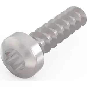 Screw Torx SCHROFF LIKOSCHR-TORX 2.5×9.3 mm, pack of 100