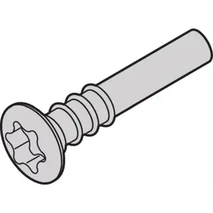 Screw Torx SCHROFF 3.0 x 20 mm, Torx head, pack of 100