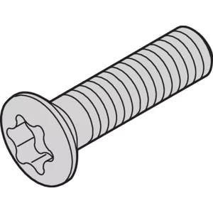 Screw SCHROFF M2.5 x 10 mm Torx, pack of 100