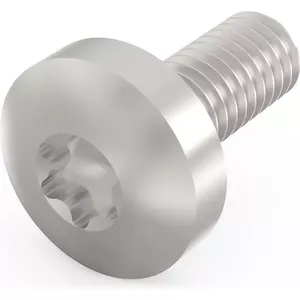Screw SCHROFF TORX-LENSKOSCHR M4x10, stainless steel, countersunk head, TORX drive