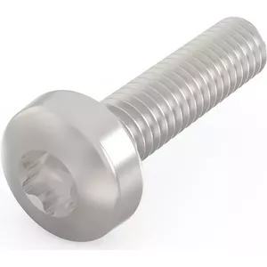 Screw SCHROFF TORX-LINSKOSCHR 2.5x10 mm, pack of 100