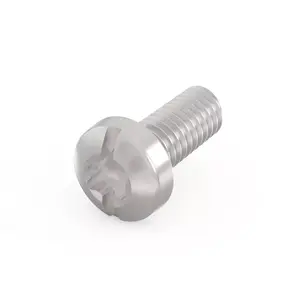 Screw Schroff 24560-159 M2.5 Steel Round Head 6 mm 100 pcs