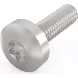 Винт SCHROFF Torx с цилиндрической головкой - NTS TORXSCHR M4X14 (10шт) (24560131)