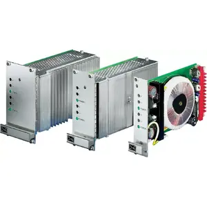 Линейный блок питания постоянного тока SCHROFF PSG 215 Dual AC/DC линейный регулятор 10–58 Вт