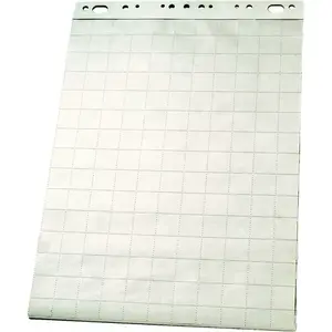 Flip chart accessory ESSELTE 96551 – writing surface 600 × 850 mm, 1 pc