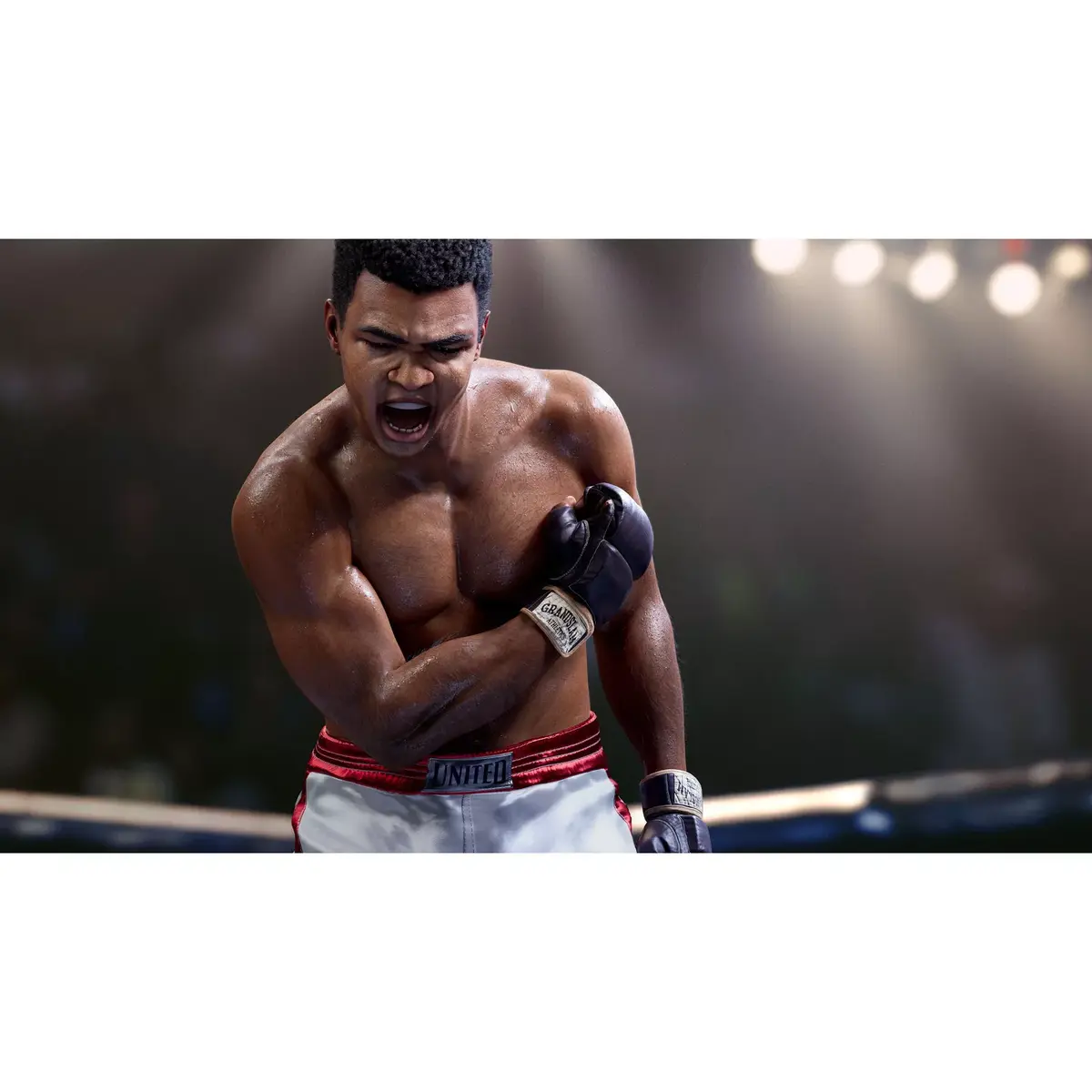 Видеоигра Electronic Arts EA SPORTS UFC 5 Photo 4