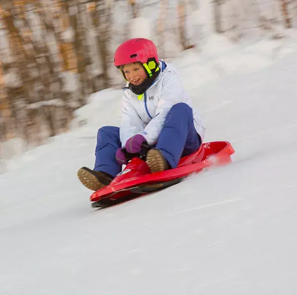 Санки Hamax Sno Formel Photo 2
