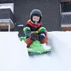 Санки Hamax Sno Zebra Photo 2