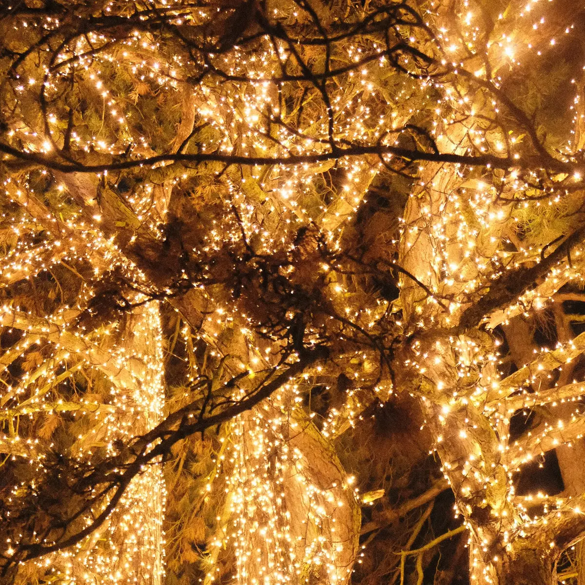 Springos CL0524 30 m LED string lights Photo 5