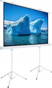 Projection screen ART Manual Screen on a Tripod 140 inch (254 x 254 cm, 1:1)