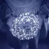 Springos CL0015 dekoratīvā virtene 50 LED Photo 6
