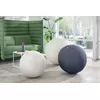 Leitz Active Sitzbumbulis 55cm Photo 6