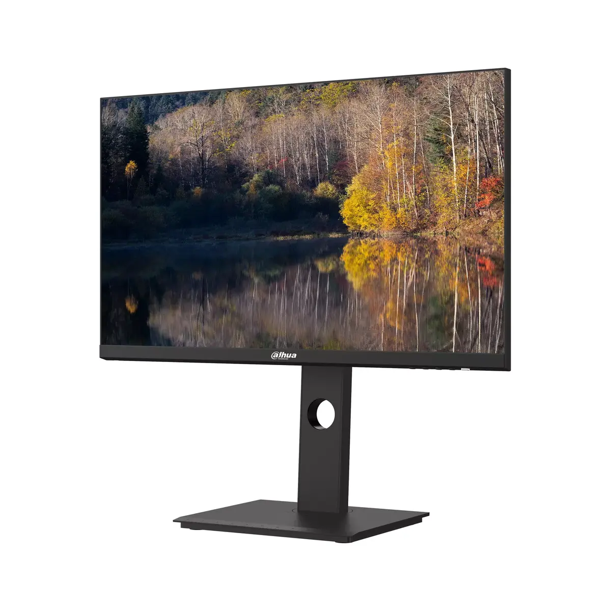 LCD монитор DAHUA DHI-LM24-P301A Photo 2
