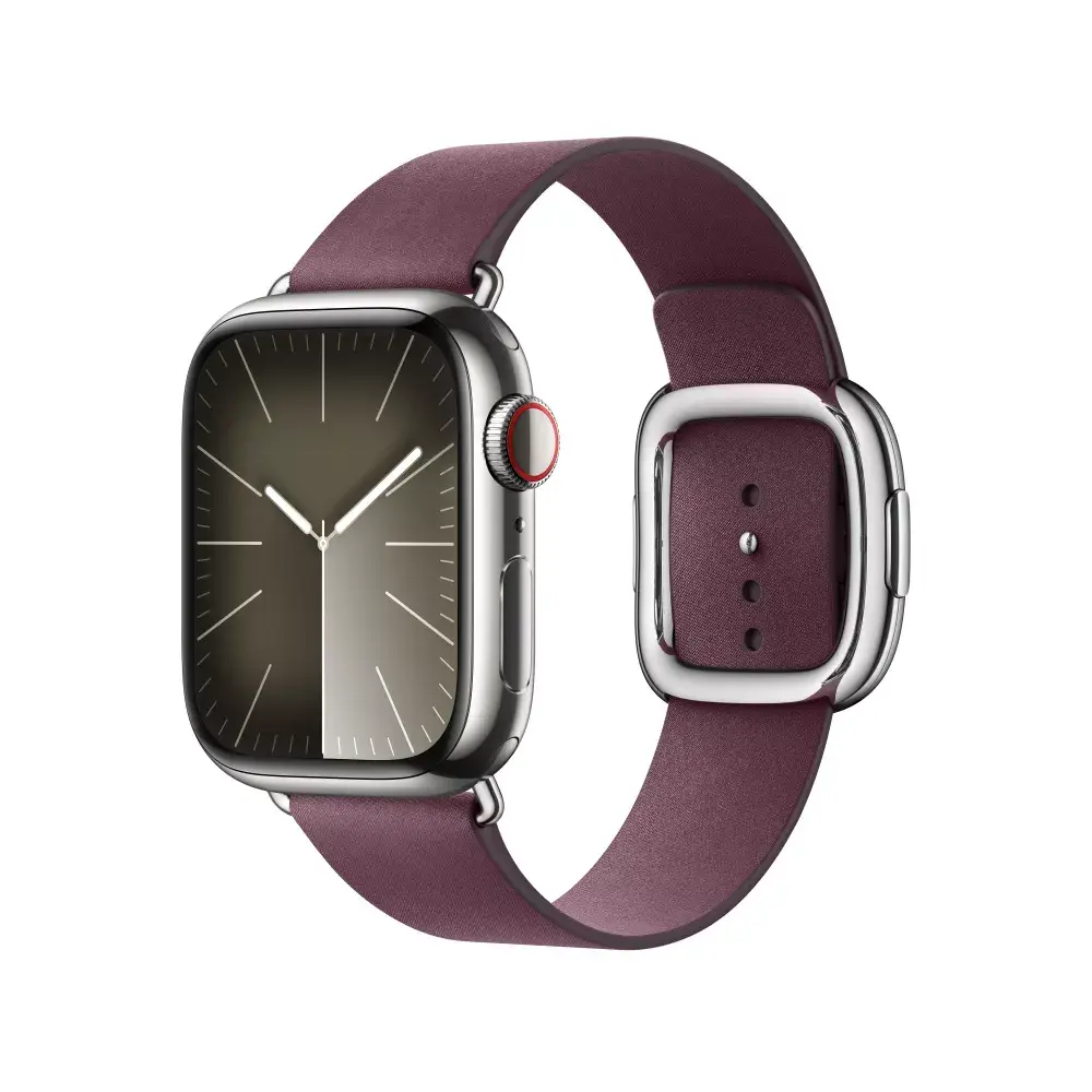Ремешок Apple 41mm Mulberry Modern Buckle Photo 2