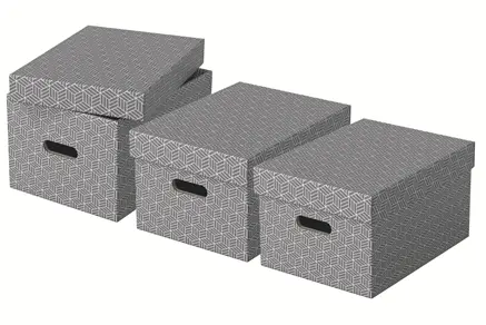 Esselte Home Medium Storage Box - Pack of 3 Photo 3