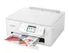Daudzfunkcionālā ierīce Canon PIXMA TS7650i Photo 11