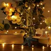 String Lights Springos CL0070 — 20 LED decorative Photo 3