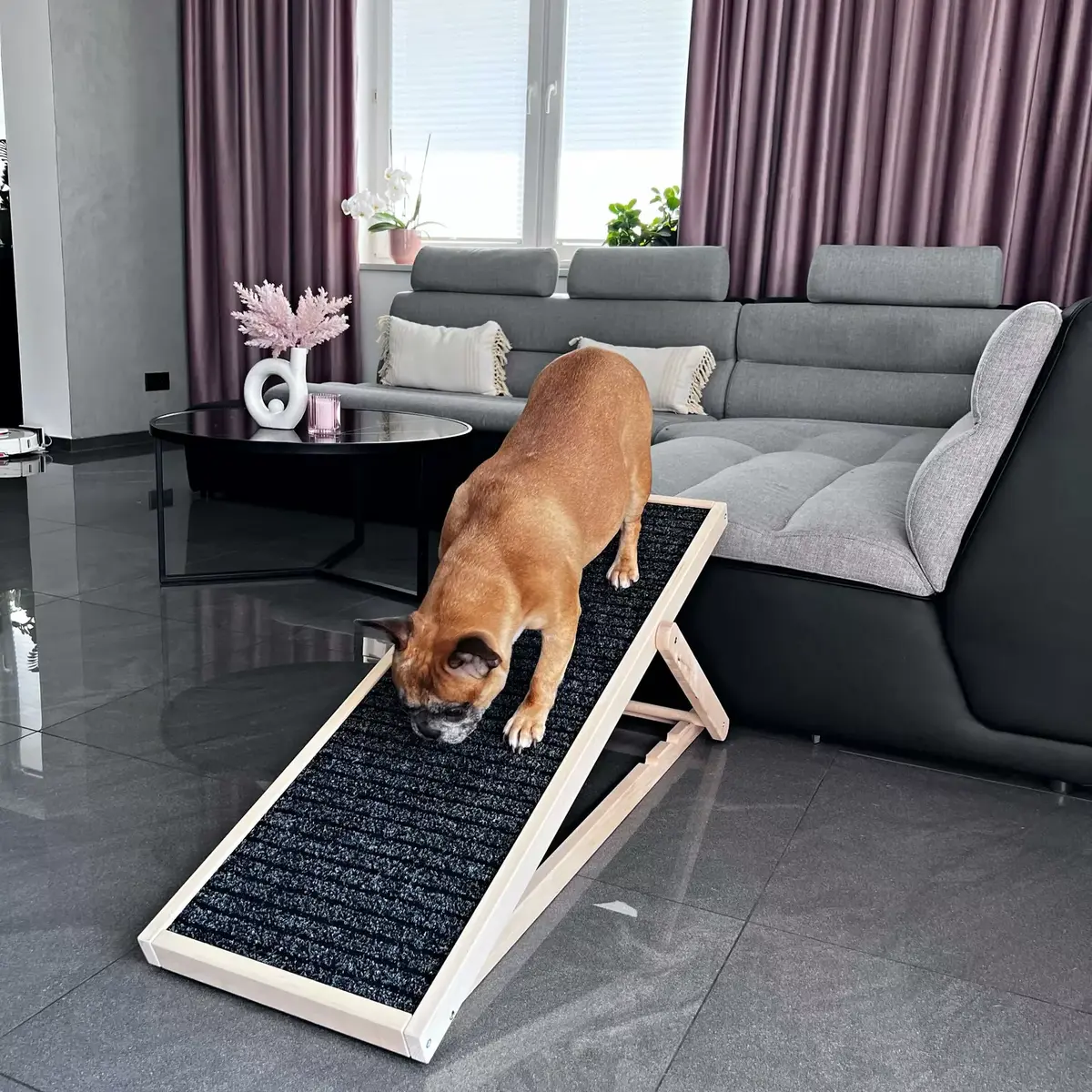 Dog ramp Springos DR0001 folding portable Photo 2