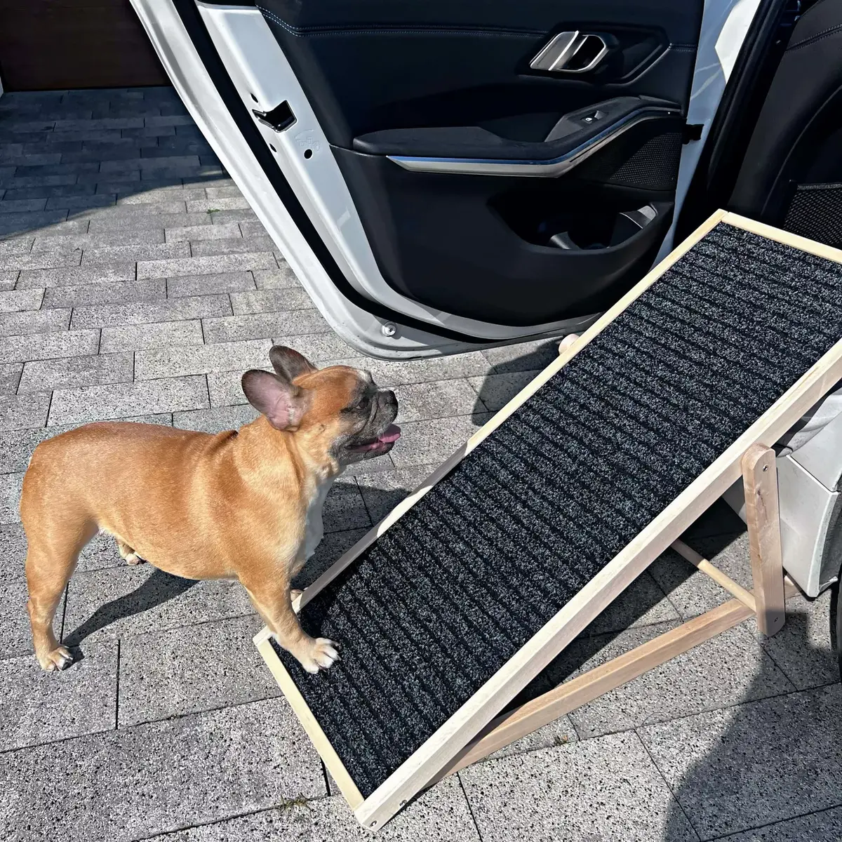 Dog ramp Springos DR0001 folding portable Photo 3