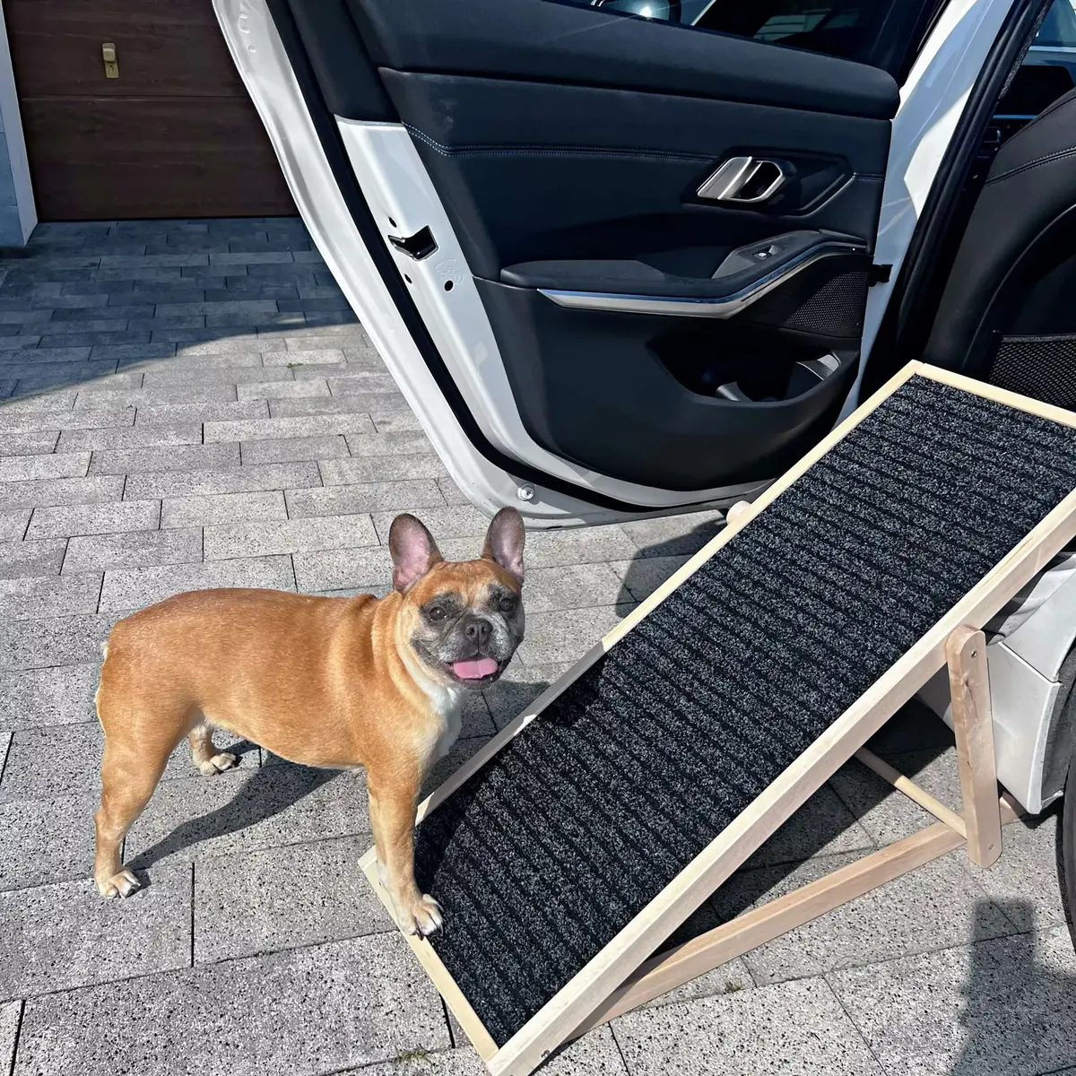 Dog ramp Springos DR0001 folding portable Photo 4