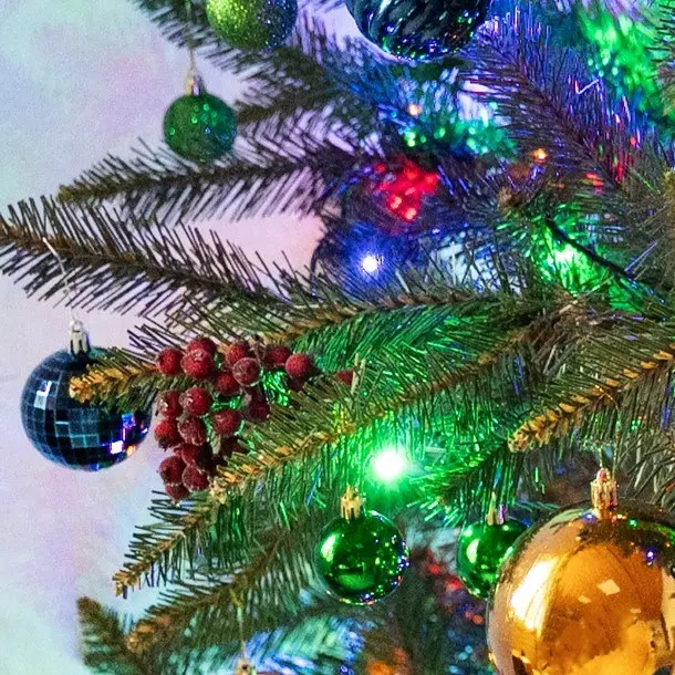 Mākslīgā zariņa Frost tumši sarkana 12