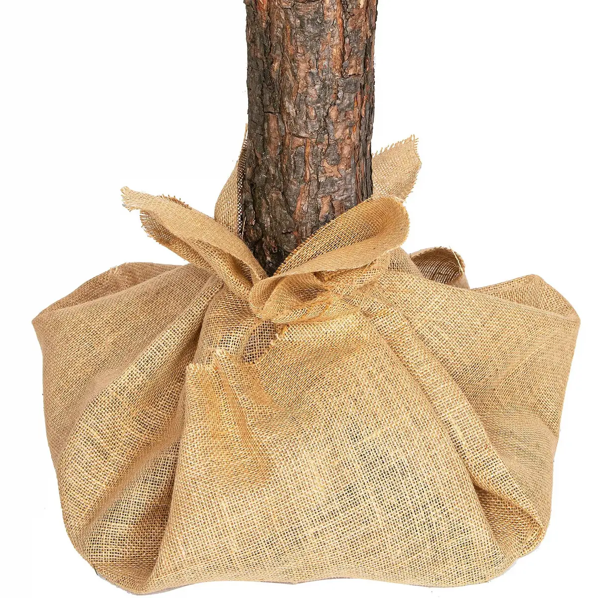 Springos CT0128 Artificial Christmas Tree 220 cm Photo 7