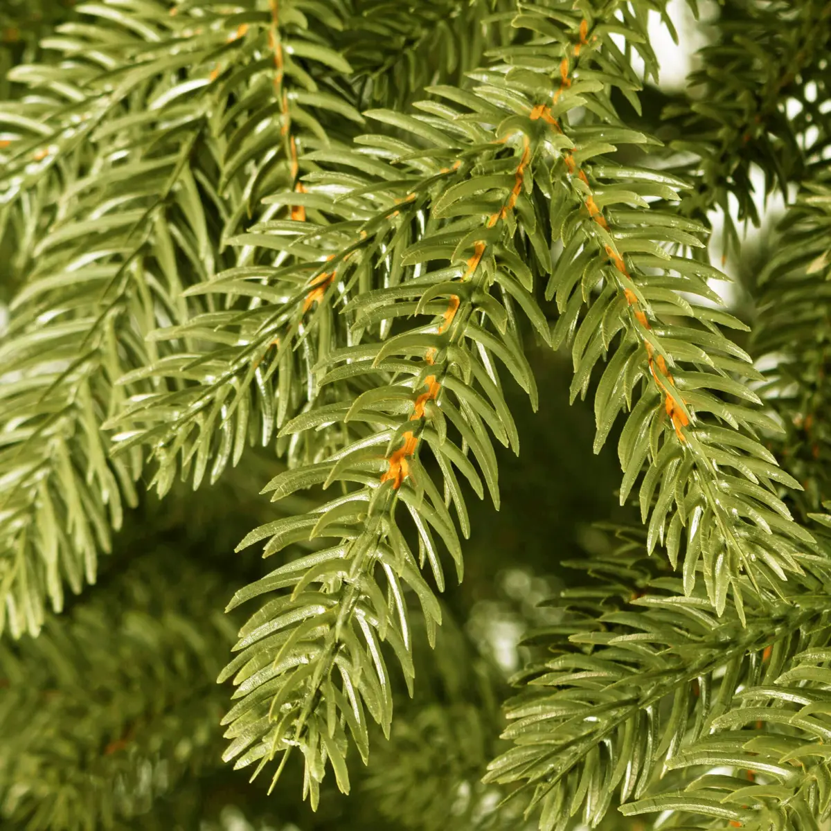 Mākslīgā Ziemassvētku eglīte Springos CT0153, 180