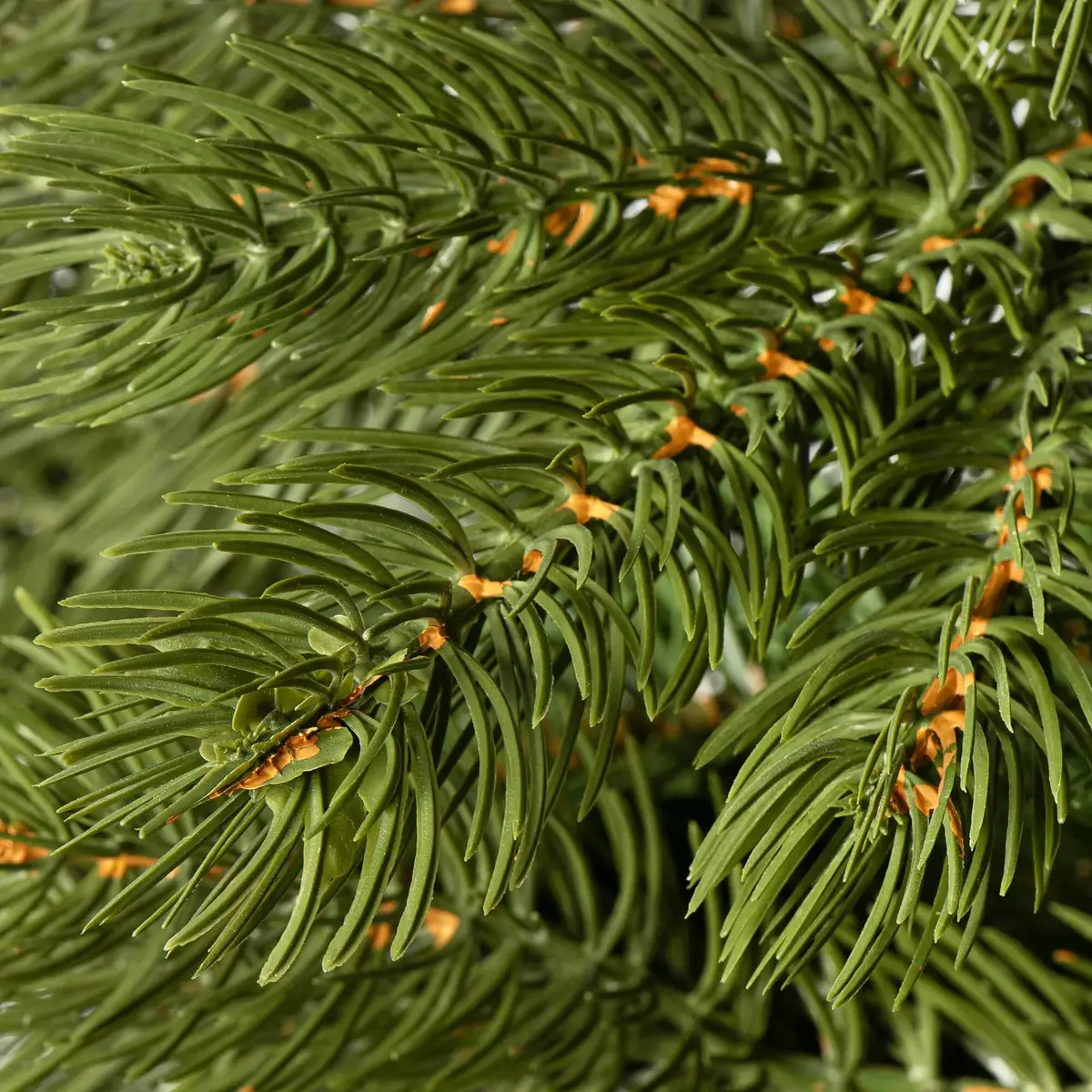 Artificial Christmas tree Springos CT0144 220 cm Photo 3