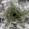 Springos CT0124 Artificial Caucasian Snow Fir 180 cm Photo 8