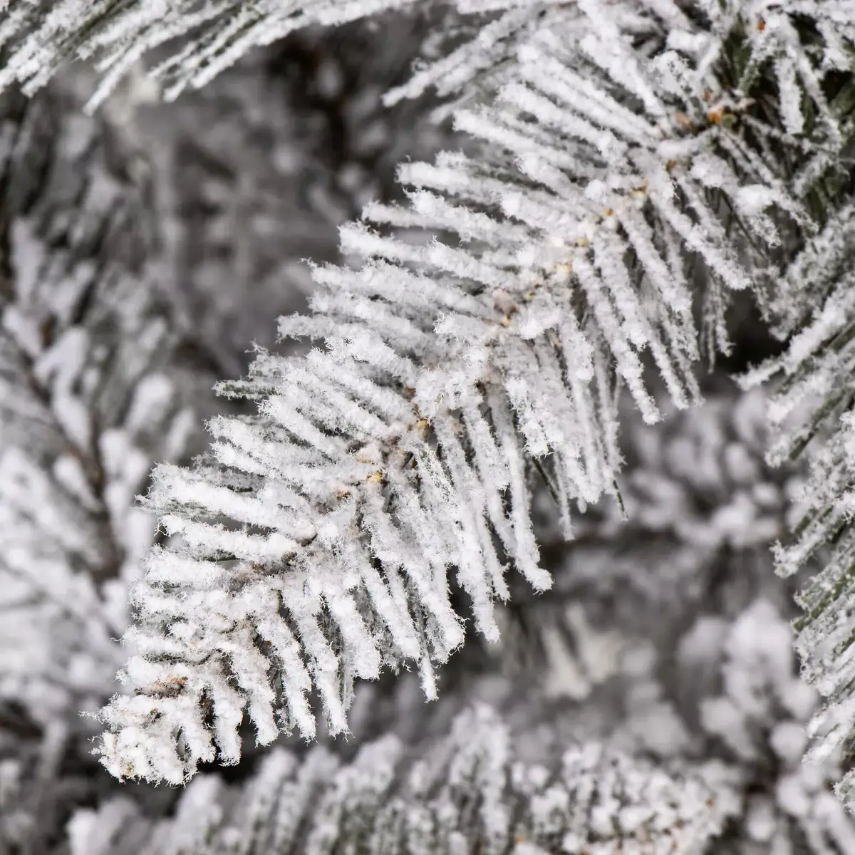Springos CT0124 Artificial Caucasian Snow Fir 180 cm Photo 9