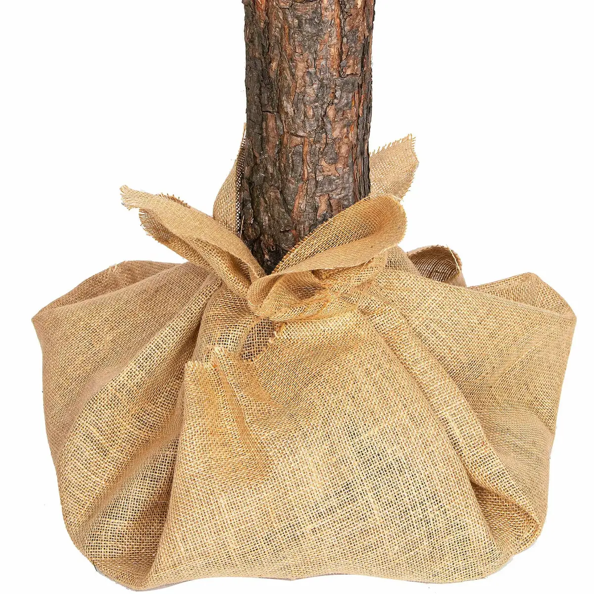 Springos CT0137 Artificial Christmas Tree 160 cm Photo 2