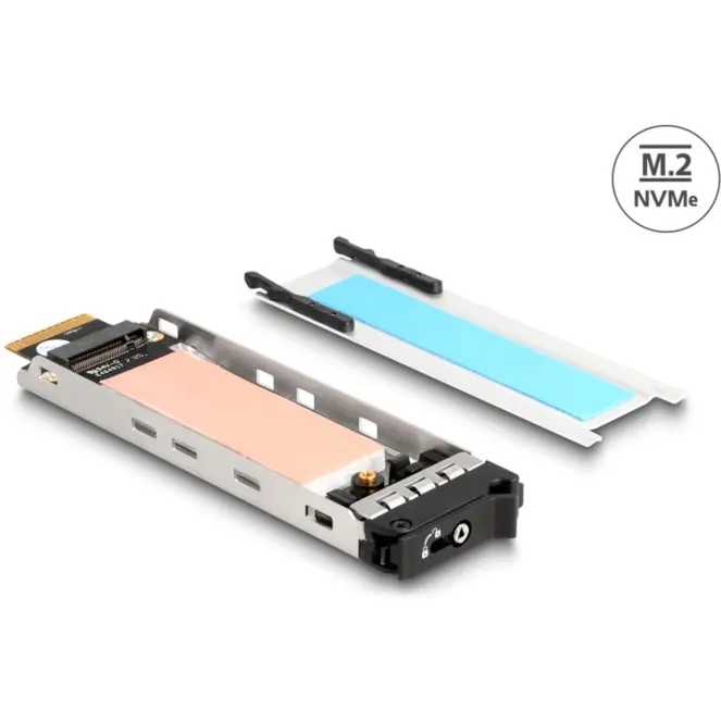 Uzglabāšanas diska paliktnis DeLOCK Mobile Rack