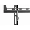 TV mount Gembird WM-55F-04 Photo 5