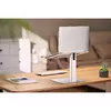 Laptop stand GEMBIRD NBS-D1-02 Photo 7