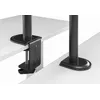 GEMBIRD MA-D1-03 monitor mount for 17"–32" Photo 6