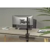 GEMBIRD MA-D1-03 monitor mount for 17"–32" Photo 7