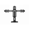 Monitor Mount Gembird MS-D2-01 Photo 4